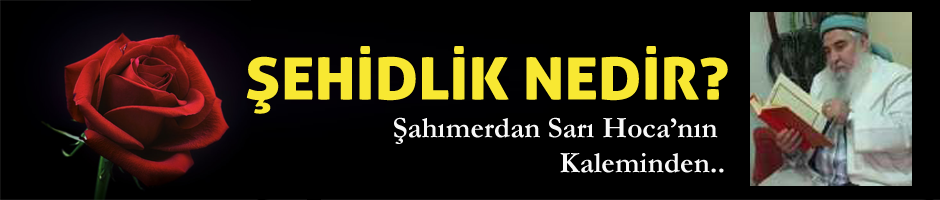 Şahımerdan Sarı Hoca: Şehidlik Nedir?